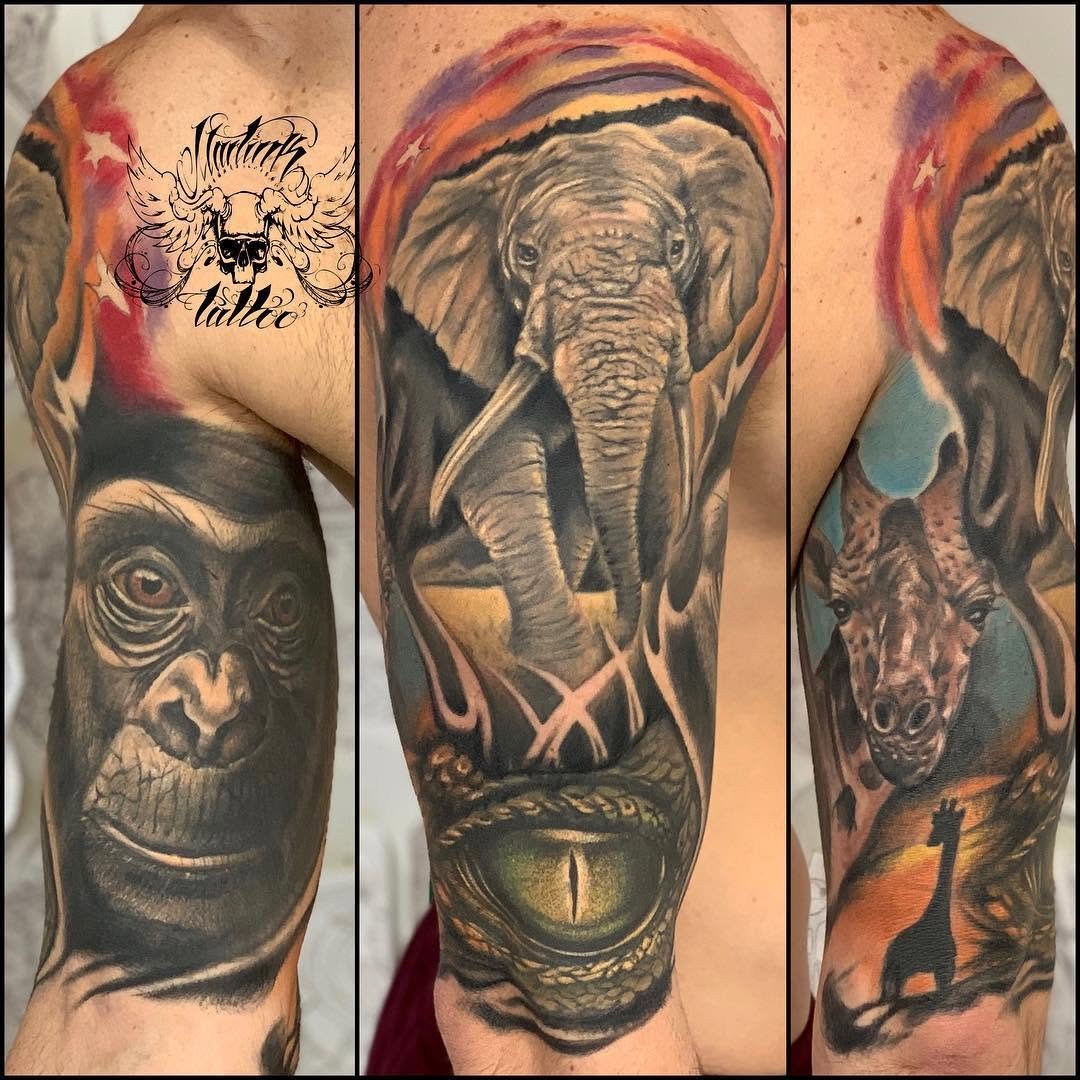 Composición animal. Gorila, elefante, ojo reptil y jirafas. tbtsvq martink_tattoo doshermanas doshermanastattoocolortattoohealedhealedtattoo realistictattooanimalstattoo animalsnaturejunglesinkisttatsevillasevillatattooinstattooespañaandaluciaist