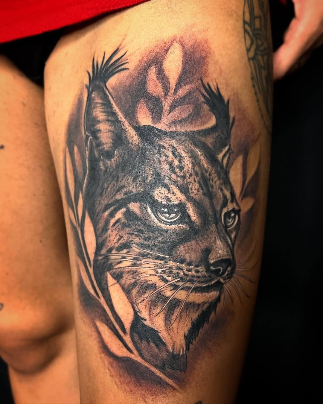Tatuaje profesional en estudio MartinK Tattoo de un lince