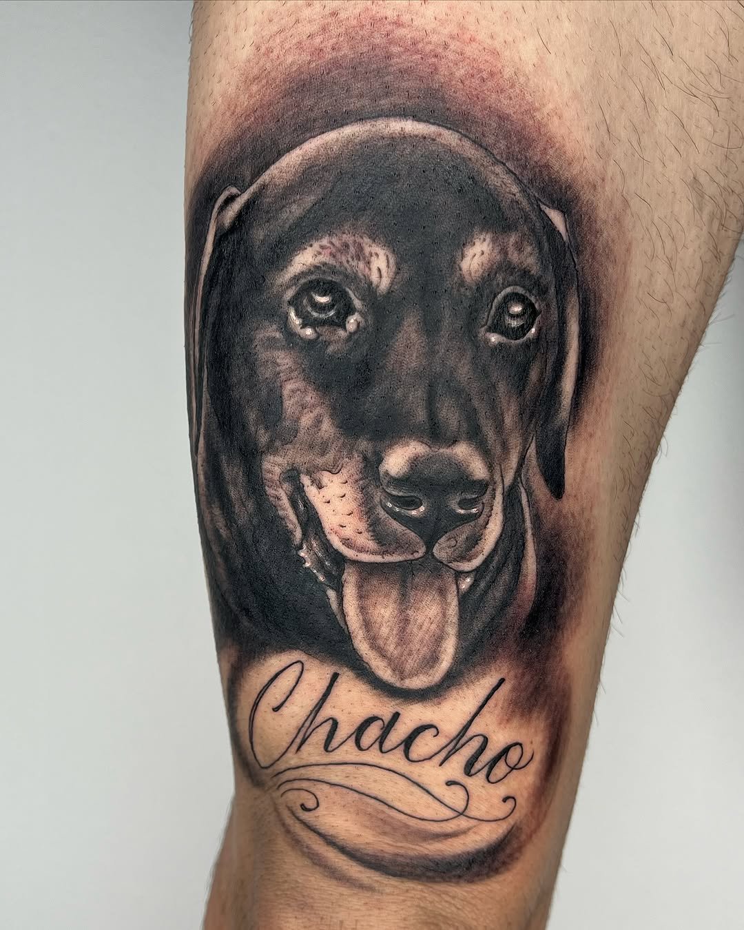 Tatuaje profesional en estudio MartinK Tattoo de un perro llamado Chacho