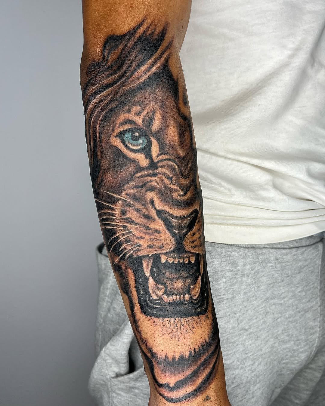 Tatuaje profesional en estudio MartinK Tattoo de un león rabioso